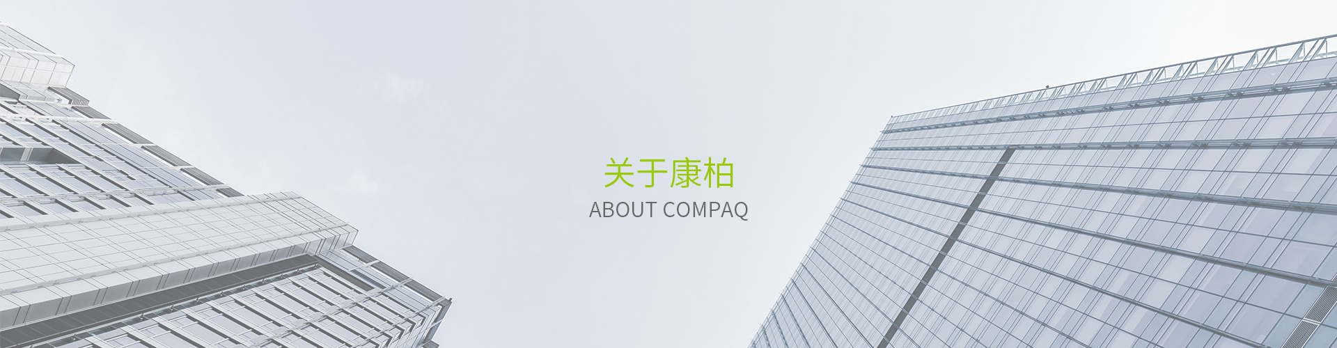 关于荔枝视频污APP下载